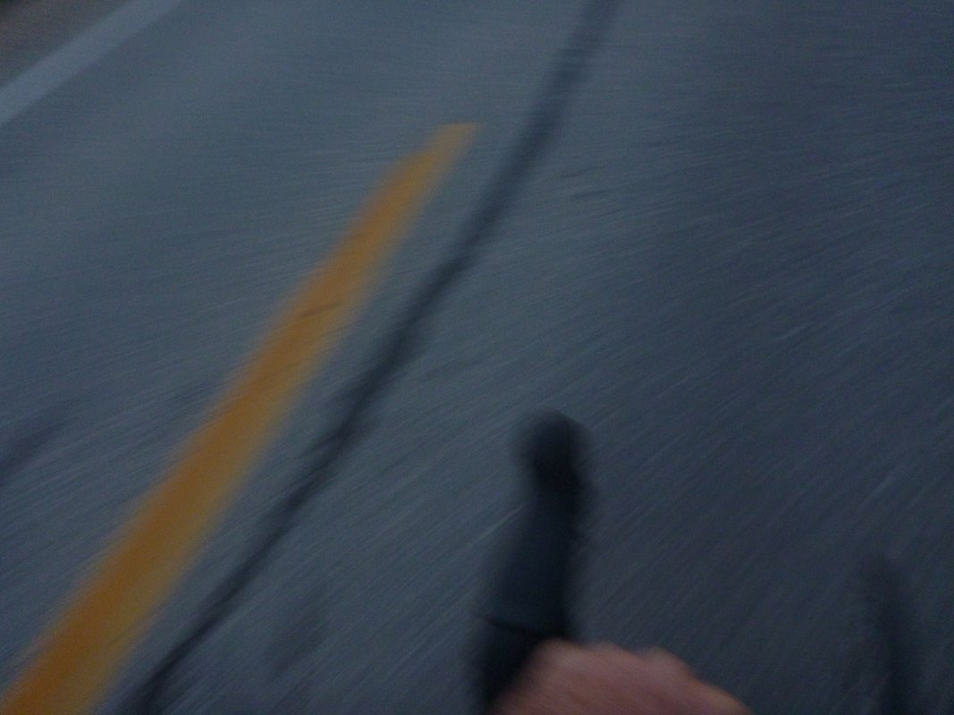 P1010564.JPG