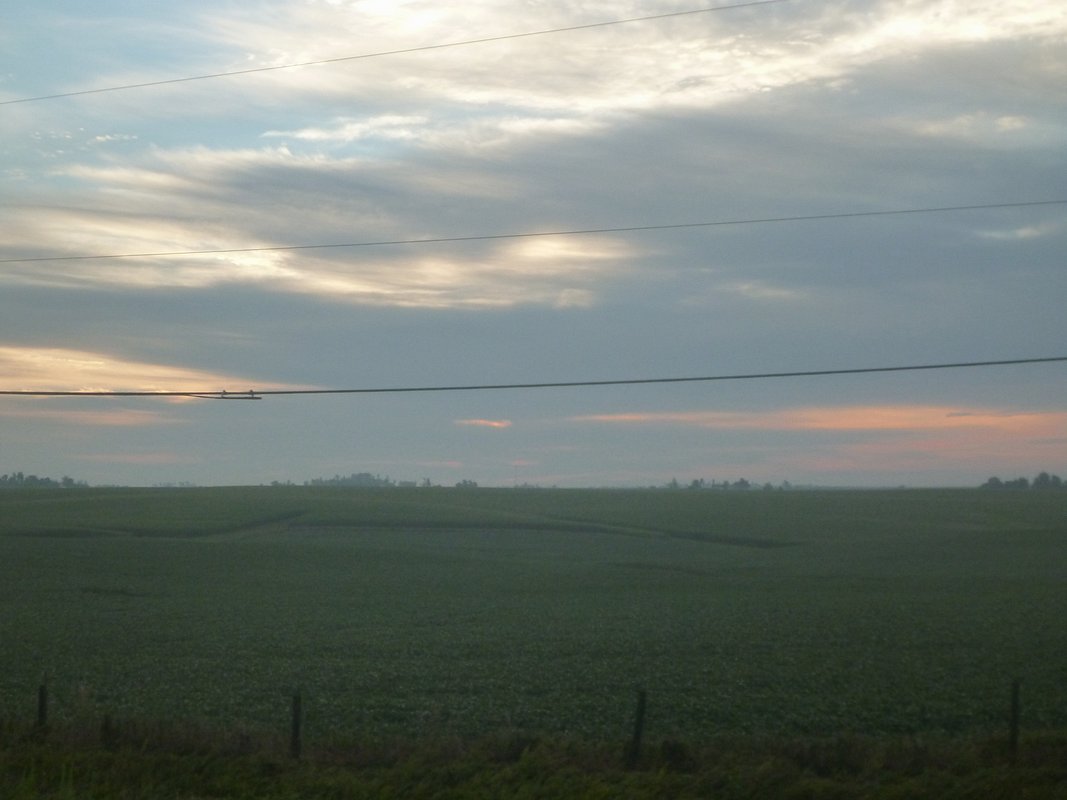 P1010569.JPG